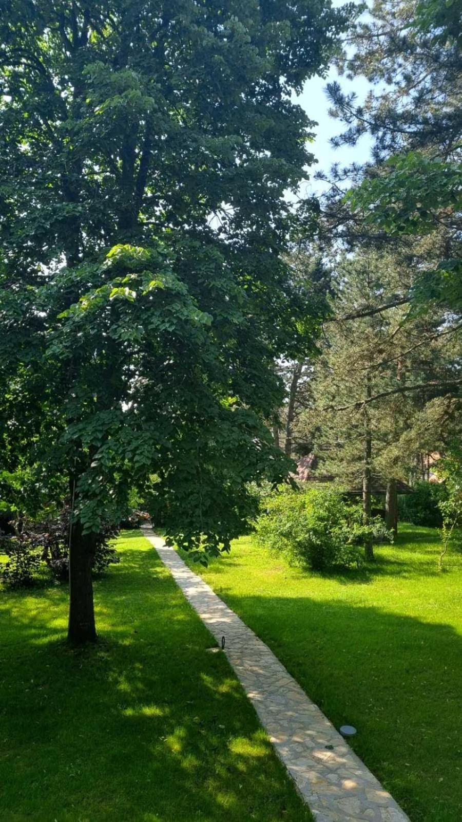 Vila Lucic Zlatibor Exterior foto